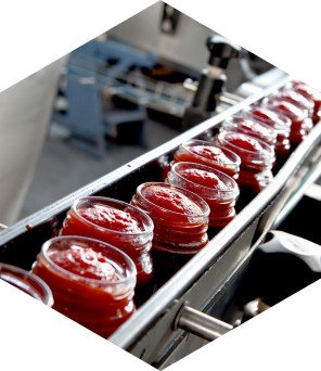 Food Industry / Processing